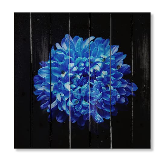Designart - Blue Aster With Dew Drops